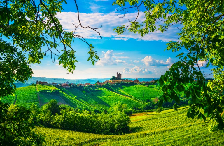 Texto: Alba, na Itália, cercada por colinas, vinhedos e oliveiras. Foto: Shutterstock/StevanZZ.