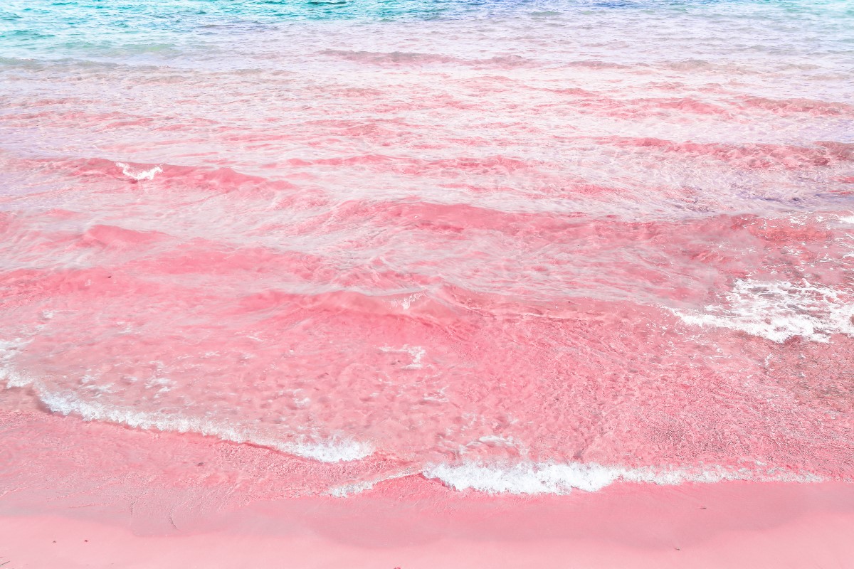 Texto: Pink Sands Beach é considerada uma das praias mais bonitas do mundo. A tonalidade da areia a deixa ainda mais especial! Foto: Shutterstock/Olinda.