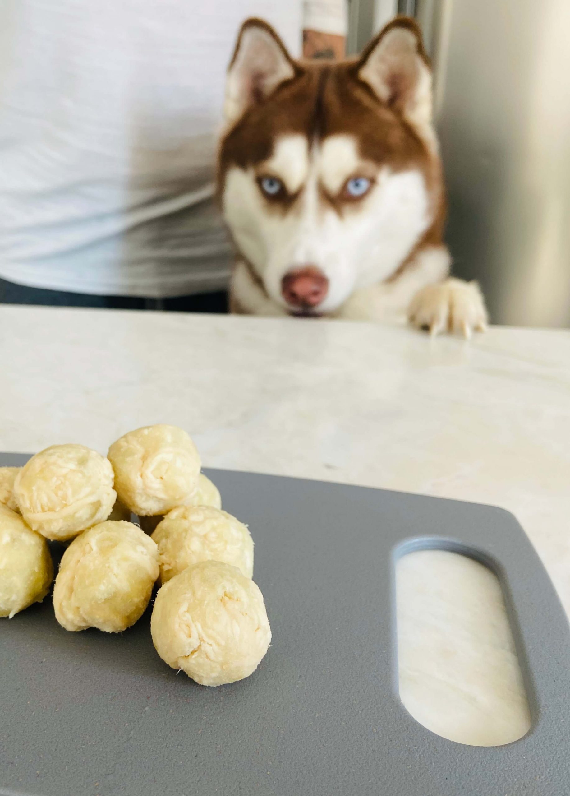 Como preparar fígado de frango para cachorro - RECEITAS